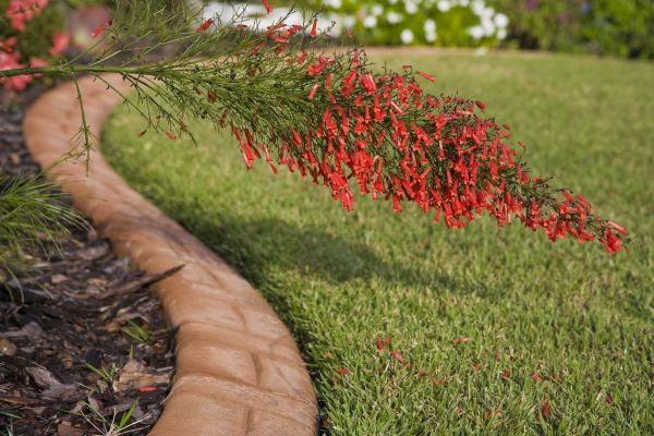 Brick Edging in Brentwood