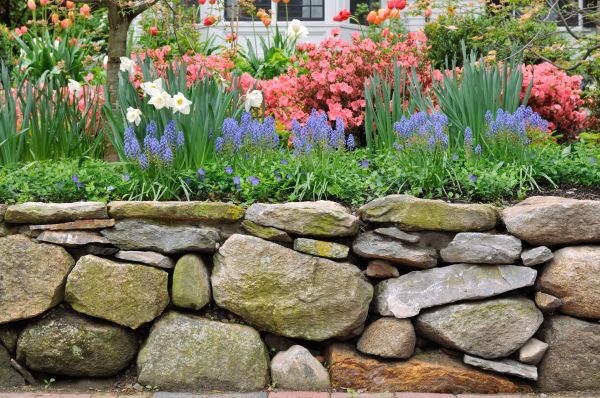 Stone Wall Hardscaping in Brentwood